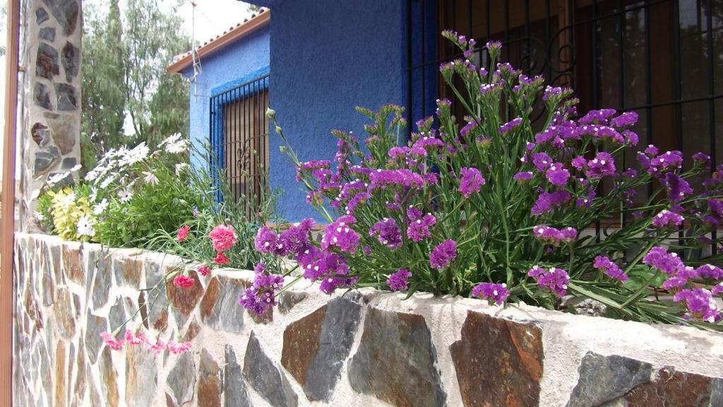 Casa Rural Mi Campo Fenazar Szoba fotó